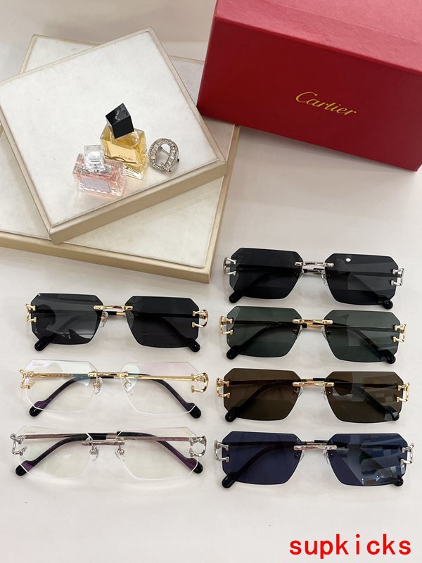 Lifestyle view of Cartier unisex sunglasses