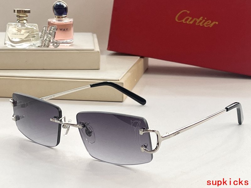 Close-up detail view of Cartier unisex sunglasses