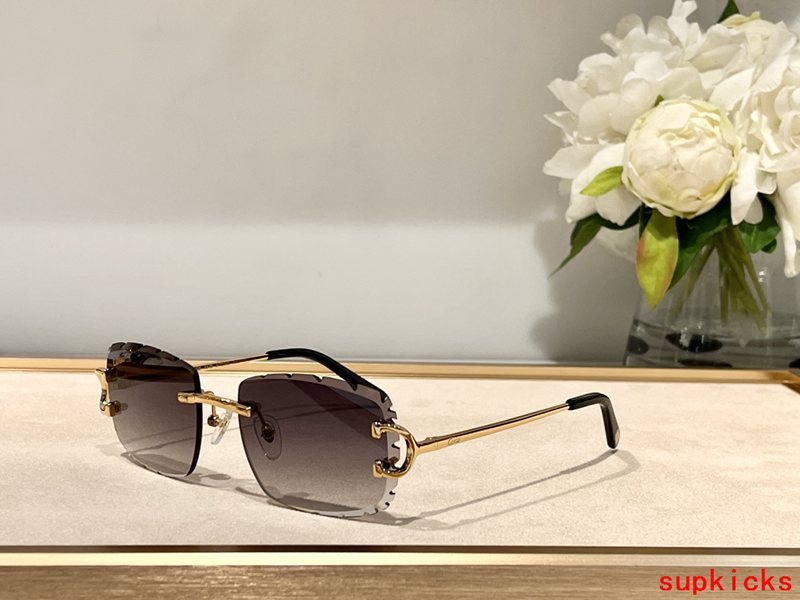 Front view of Cartier unisex sunglasses