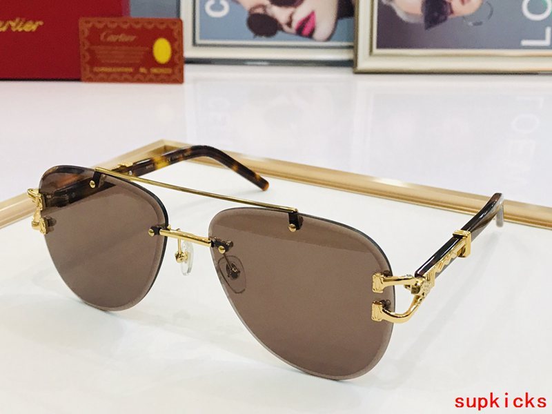 Angled view of Cartier unisex sunglasses