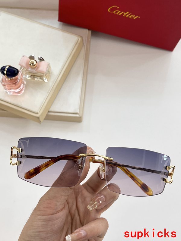 Side view of Cartier unisex sunglasses
