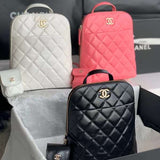 Zivas Charm Streamlined Design Everyday Handbag (Everyday Luxury Essential) – Front View