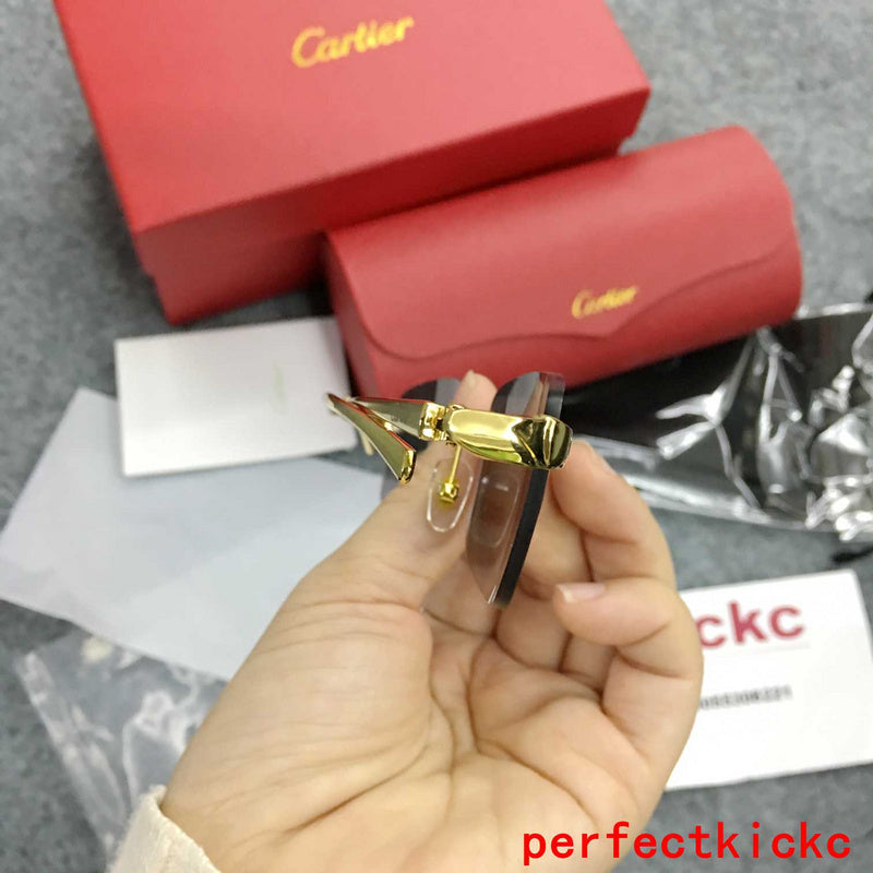 Front view of Cartier unisex sunglasses