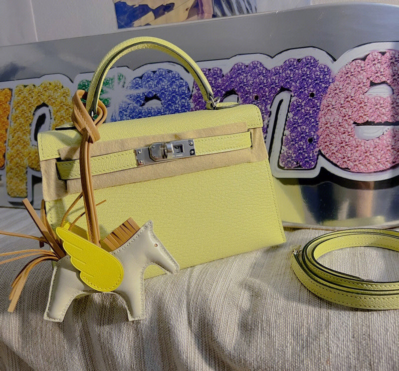 Interior view of poised premium bag