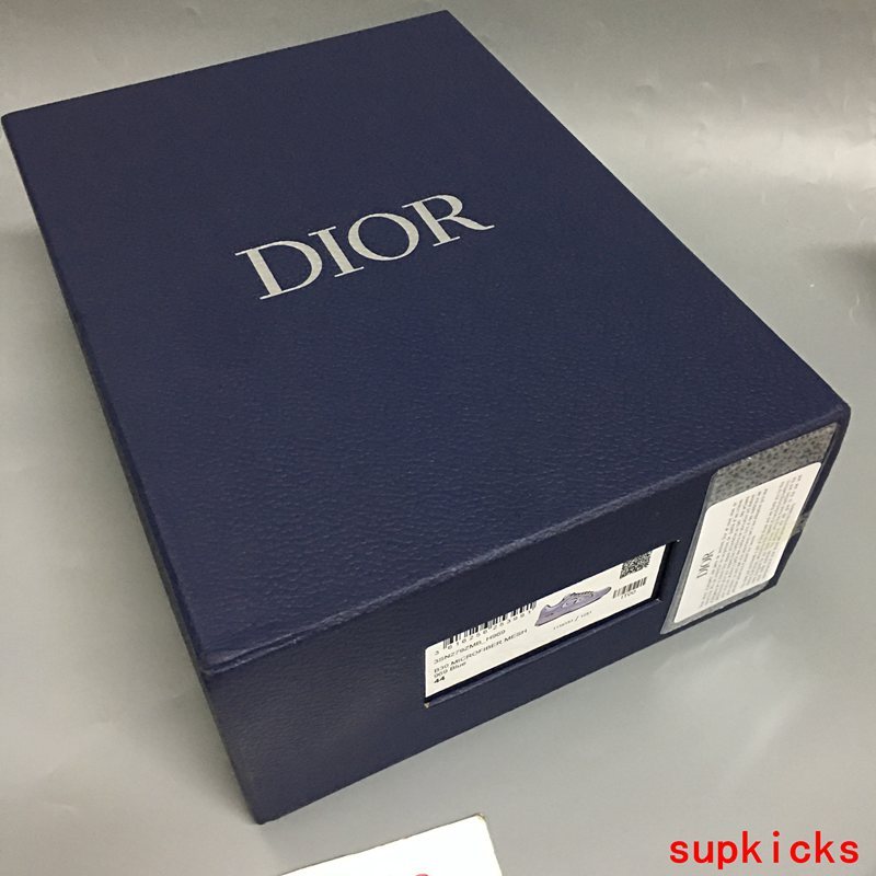 Dior shoes Style 003 - logo and branding close-up (alternate angle)