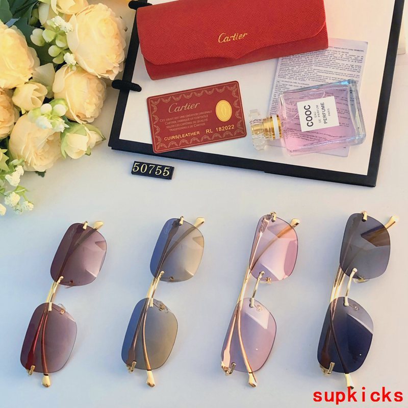 Side view of Cartier unisex sunglasses