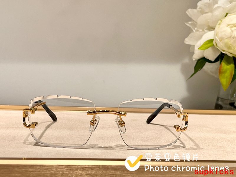 Side view of Cartier unisex sunglasses