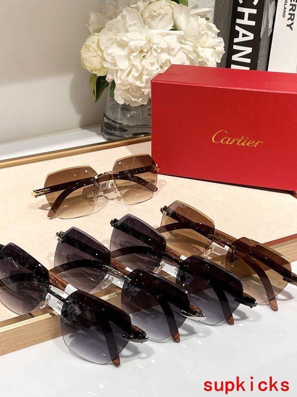 Lifestyle view of Cartier unisex sunglasses