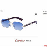 Close-up detail view of Cartier unisex sunglasses