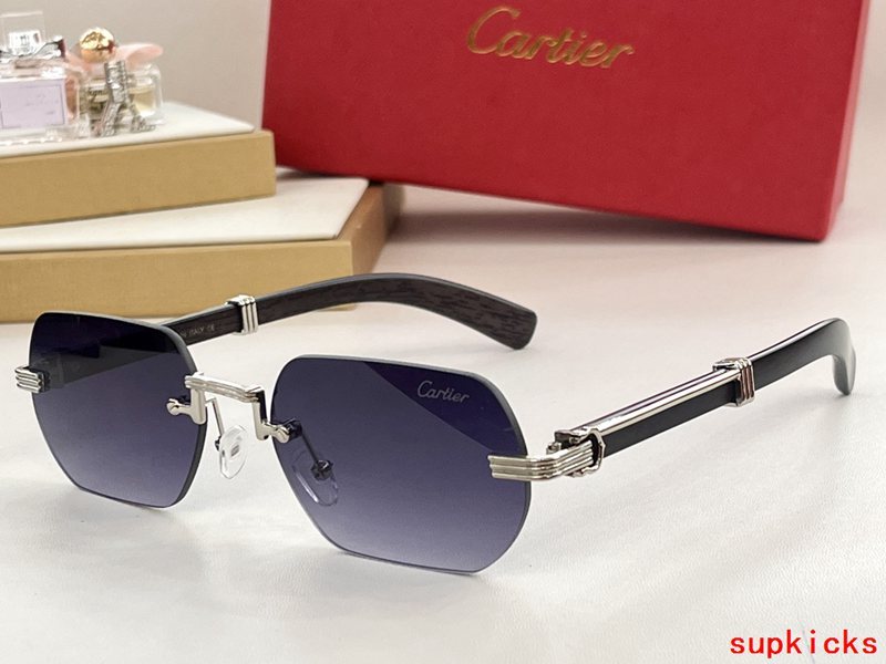 Front view of Cartier unisex sunglasses