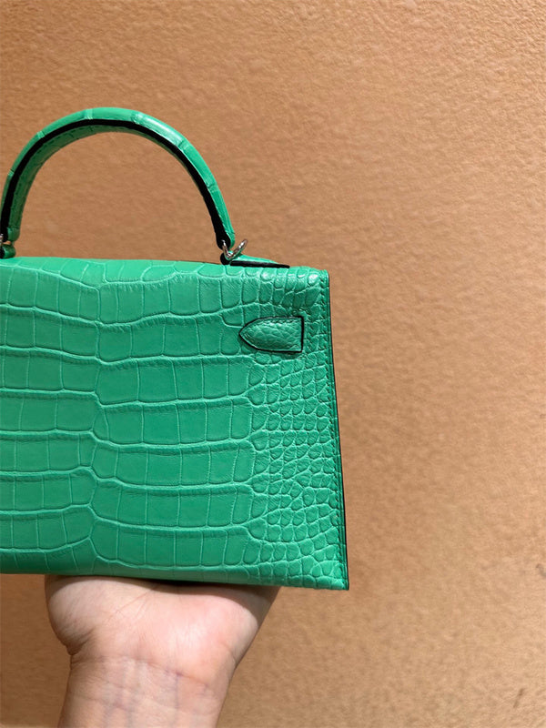  Statement handbag front view 7