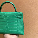  Statement handbag front view 7