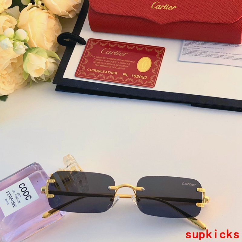 Close-up detail view of Cartier unisex sunglasses