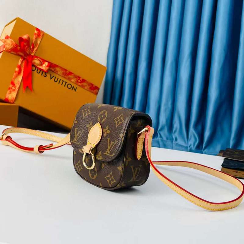 Interior view of sleek everyday-luxe women's handbag – women's statement bag