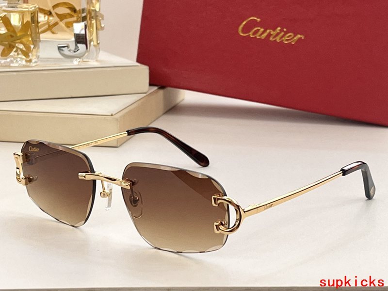 Lifestyle view of Cartier unisex sunglasses