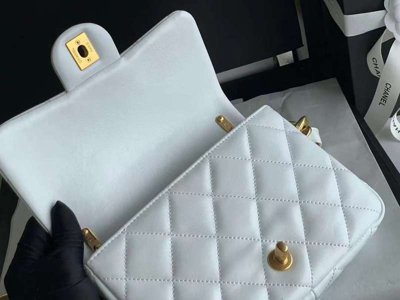 Zivas Charm Refined Everyday Style Luxury Handbag (Refined Practical Design) – Detail View