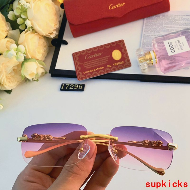 Close-up detail view of Cartier unisex sunglasses
