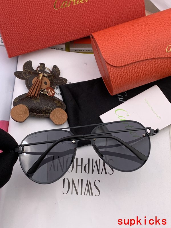 Close-up detail view of Cartier unisex sunglasses