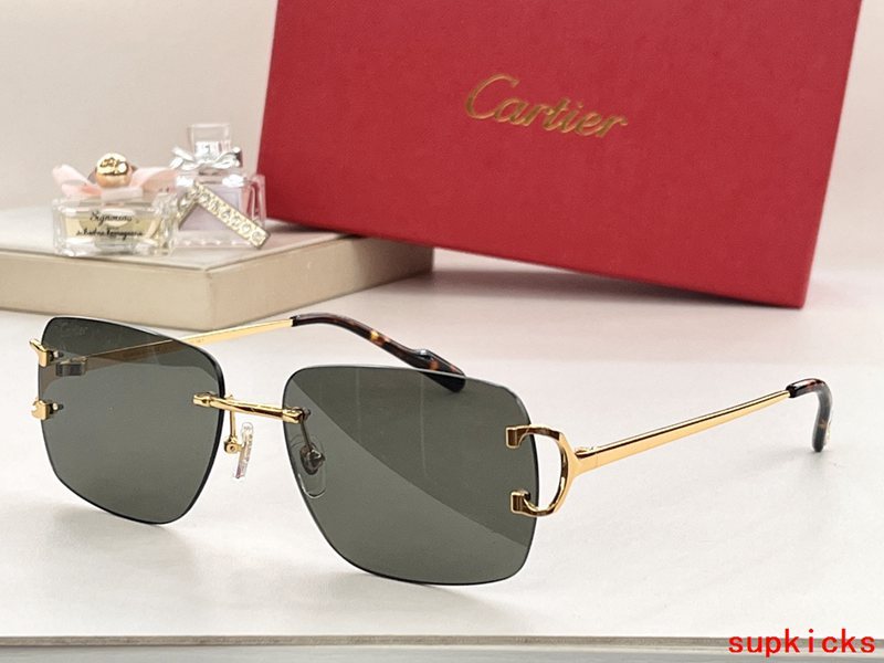 Angled view of Cartier unisex sunglasses