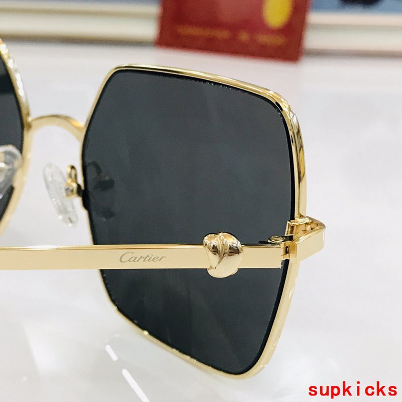 Close-up detail view of Cartier unisex sunglasses