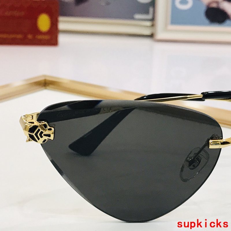 Close-up detail view of Cartier unisex sunglasses