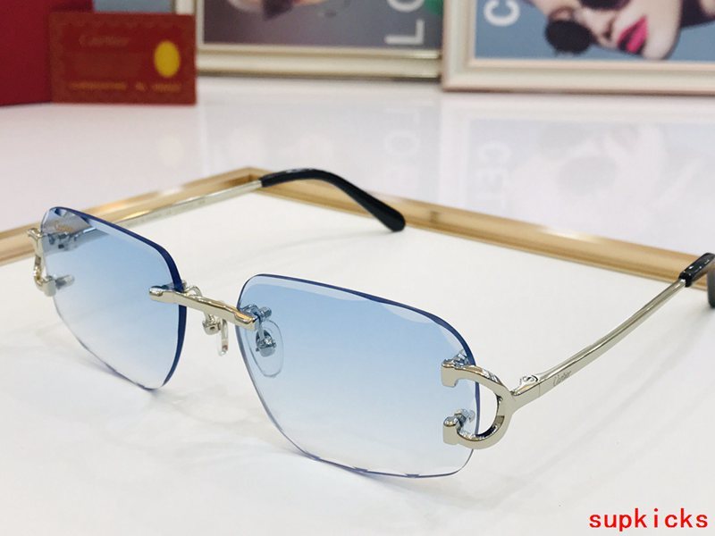 Close-up detail view of Cartier unisex sunglasses
