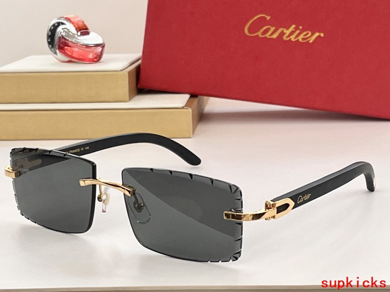 Full view of Cartier unisex sunglasses
