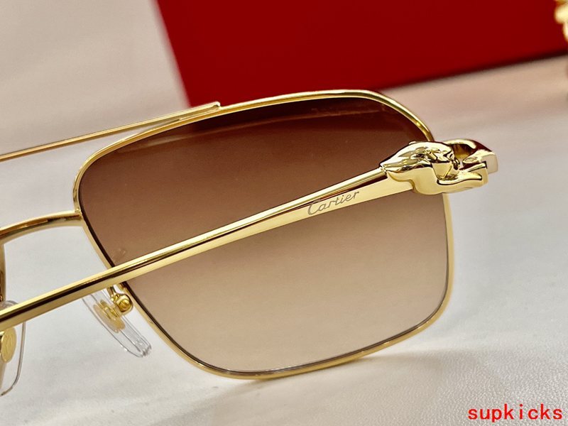 Close-up detail view of Cartier unisex sunglasses