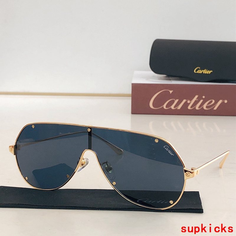 Front view of Cartier unisex sunglasses
