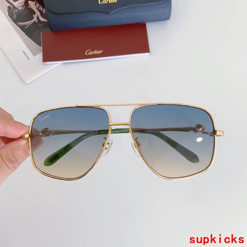 Close-up detail view of Cartier unisex sunglasses