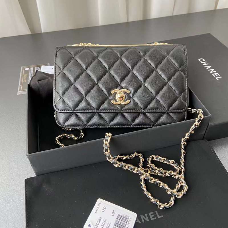 Zivas Charm Sleek Silhouette Luxury Handbag (Elevated Accessory Essential) – Lifestyle Shot