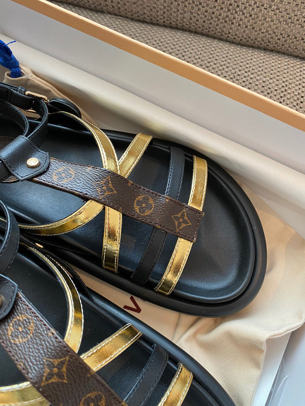Louis Vuitton shoes Style 392 - packaging and accessories
