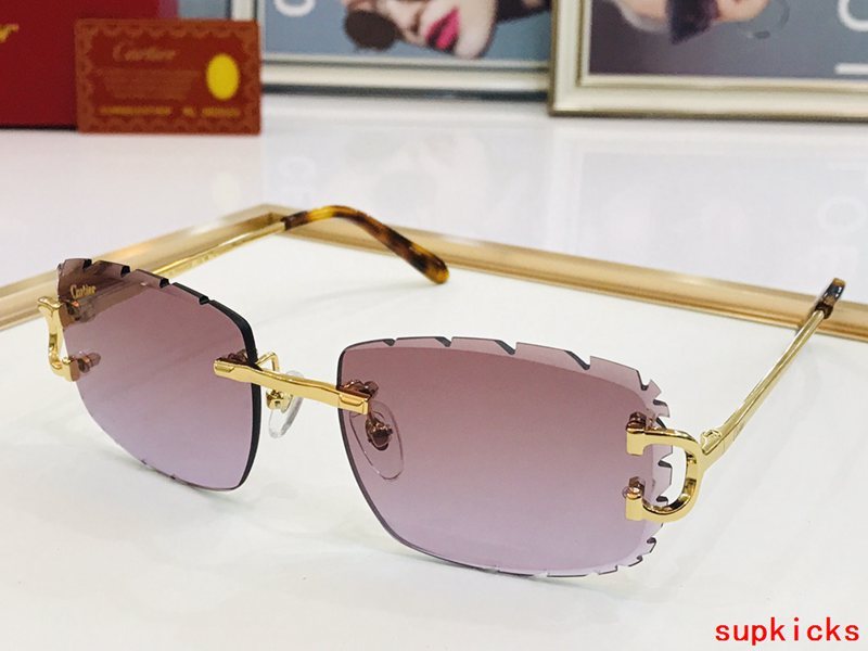 Close-up detail view of Cartier unisex sunglasses