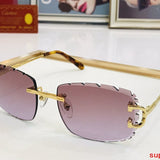 Close-up detail view of Cartier unisex sunglasses
