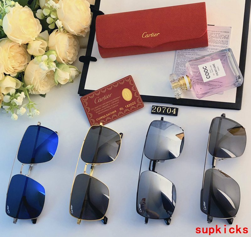 Front view of Cartier unisex sunglasses