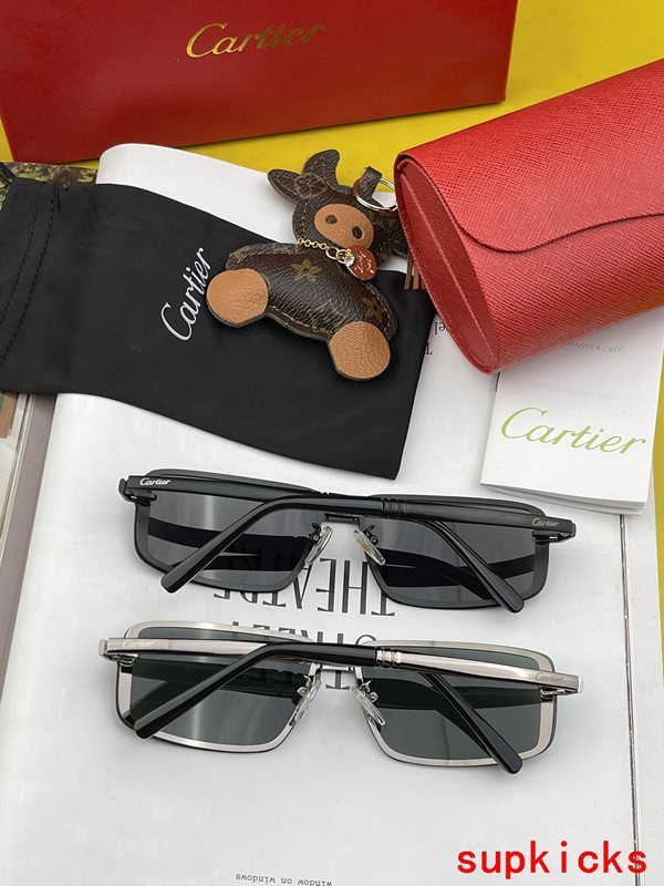Close-up detail view of Cartier unisex sunglasses
