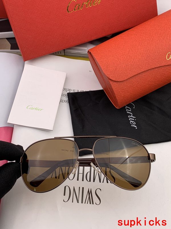 Side view of Cartier unisex sunglasses