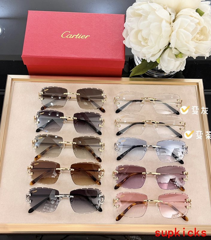 Close-up detail view of Cartier unisex sunglasses
