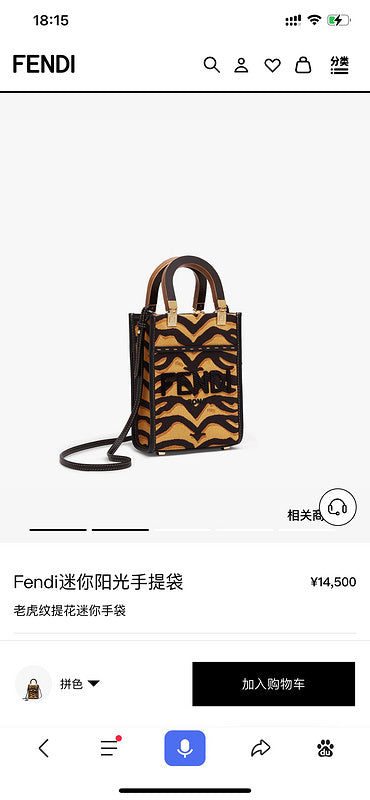 Ziva's Charm handbag – full view (6.5cm*13cm*18cm)
