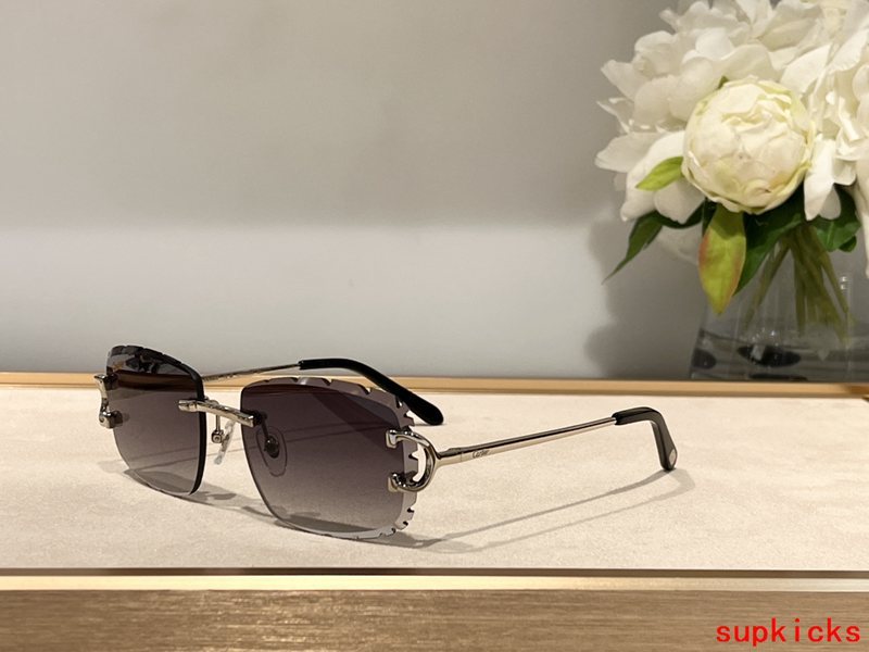 Full view of Cartier unisex sunglasses
