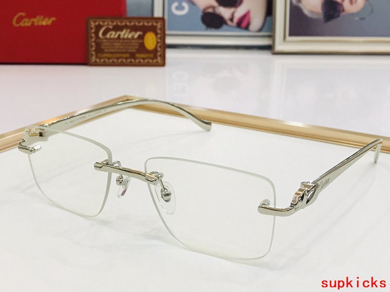 Close-up detail view of Cartier unisex sunglasses