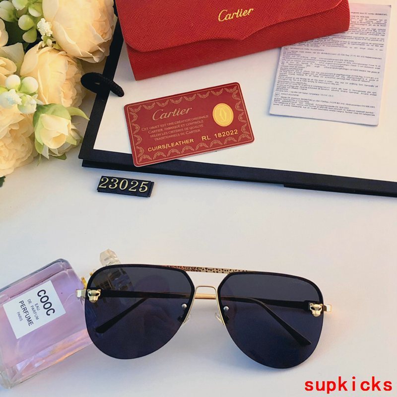 Side view of Cartier unisex sunglasses