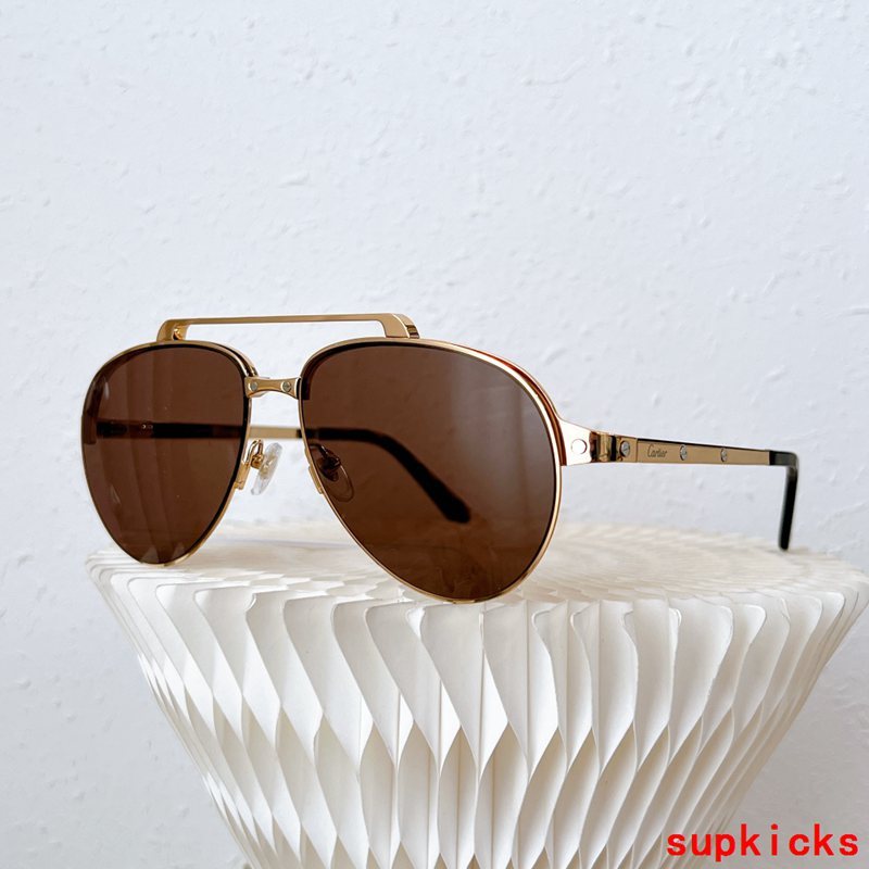 Close-up detail view of Cartier unisex sunglasses