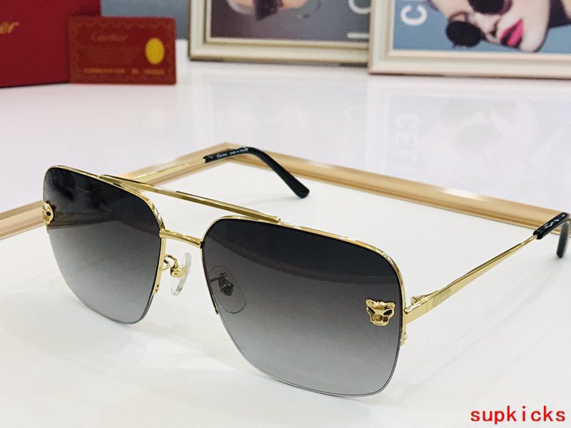 Close-up detail view of Cartier unisex sunglasses