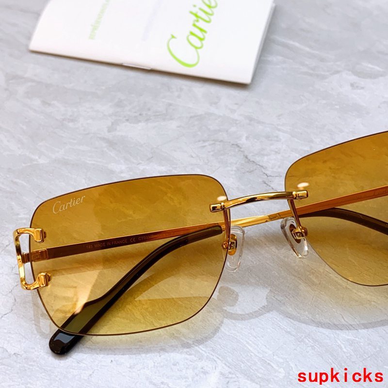 Close-up detail view of Cartier unisex sunglasses