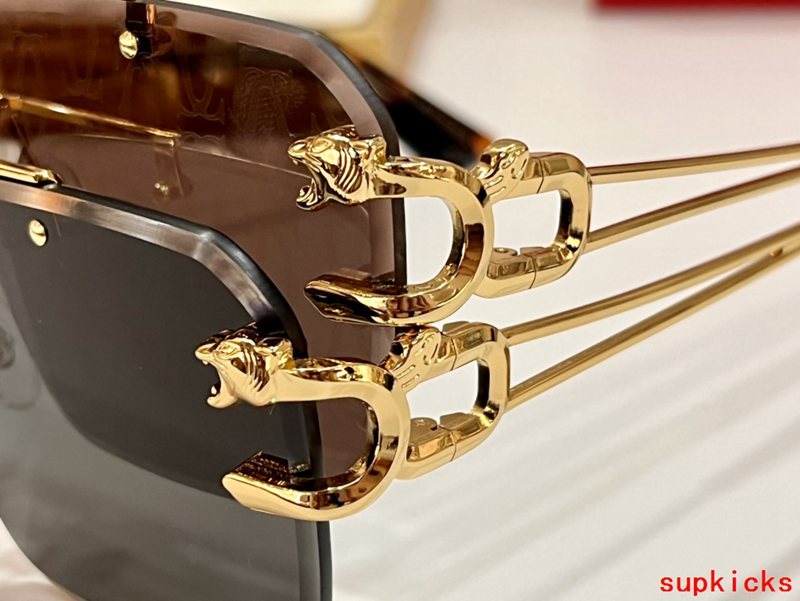 Close-up detail view of Cartier unisex sunglasses