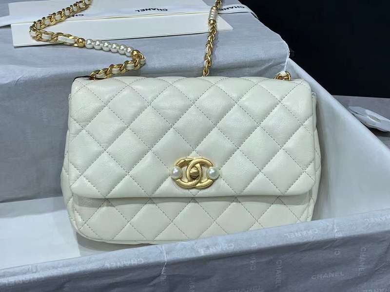 Zivas Charm Classic Sensibility Designer Handbag (Elevated Accessory Essential) – Close-Up Detail