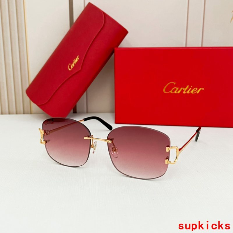 Side view of Cartier unisex sunglasses