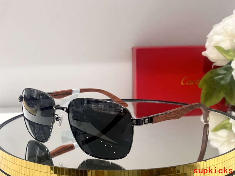 Side view of Cartier unisex sunglasses