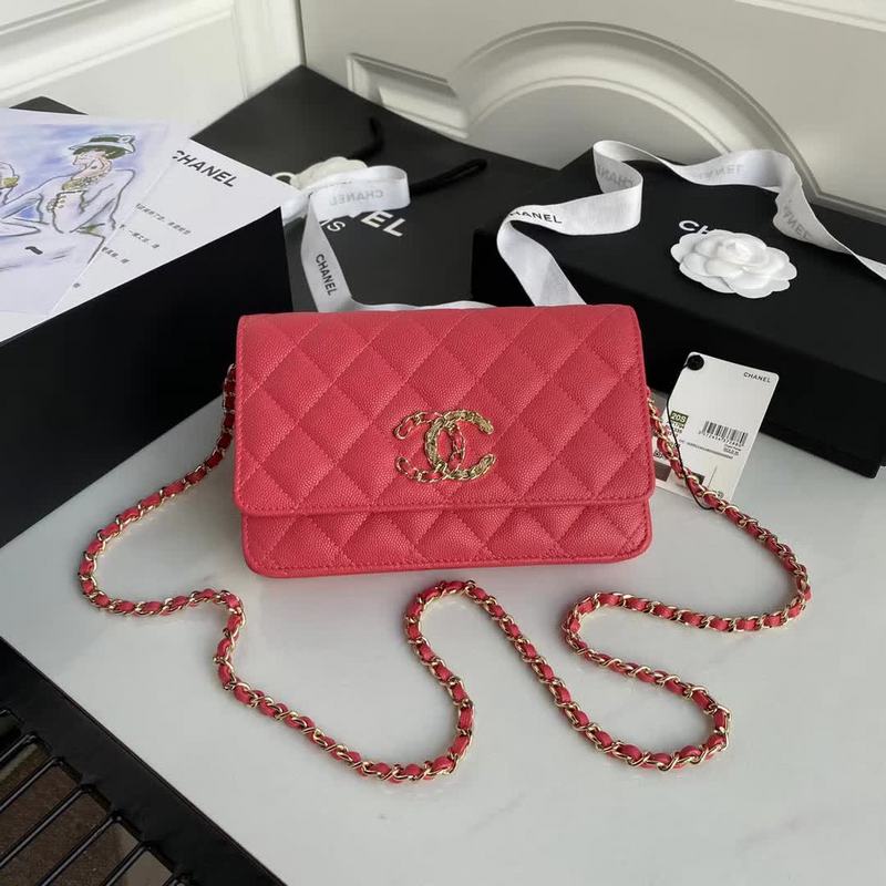 Zivas Charm Signature Style Fashion Handbag (Statement-Ready Design) – Back View